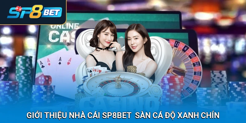 Giới thiệu nhà cái SP8BET - sàn cá độ xanh chín số 1 khu vực