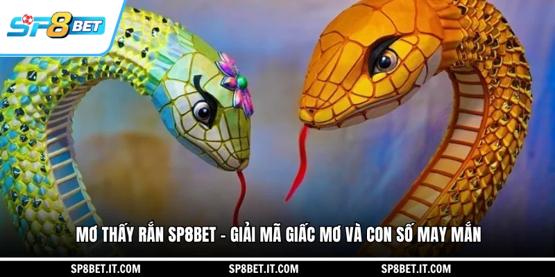 Mơ Thấy Rắn SP8BET - Giải Mã Giấc Mơ Và Con Số May Mắn