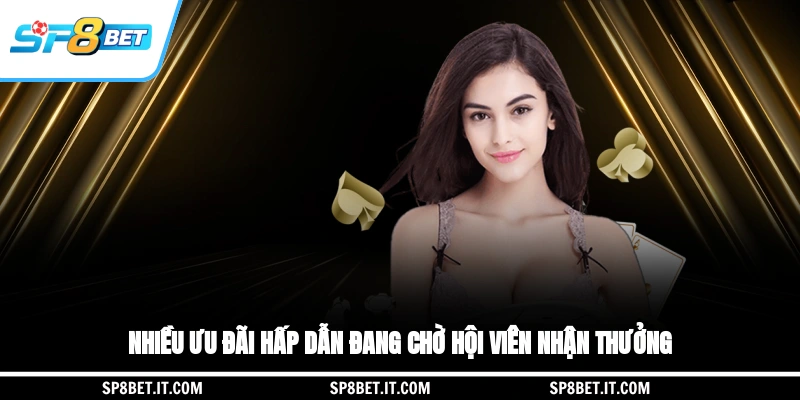 Nhiều ưu đãi hấp dẫn đang chờ hội viên nhận thưởng
