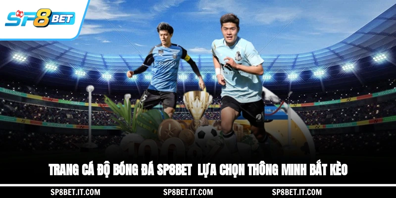 Trang Cá Độ Bóng Đá SP8BET - Lựa Chọn Thông Minh Bắt Kèo